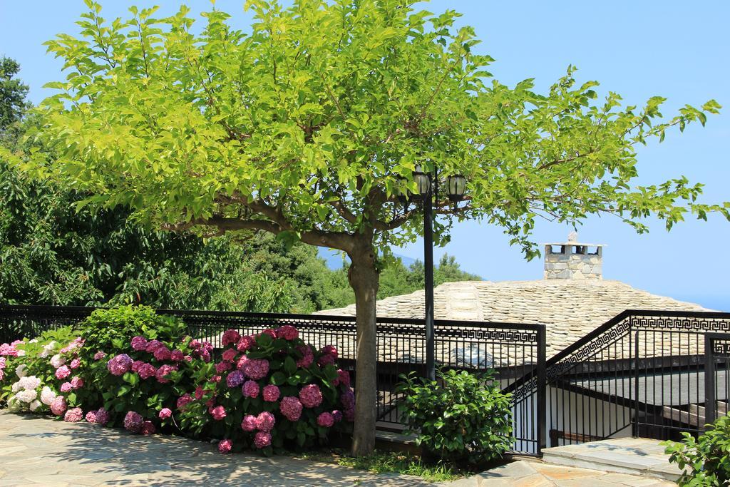 Hotel Aglaida Apartments Tsagkarada Dış mekan fotoğraf
